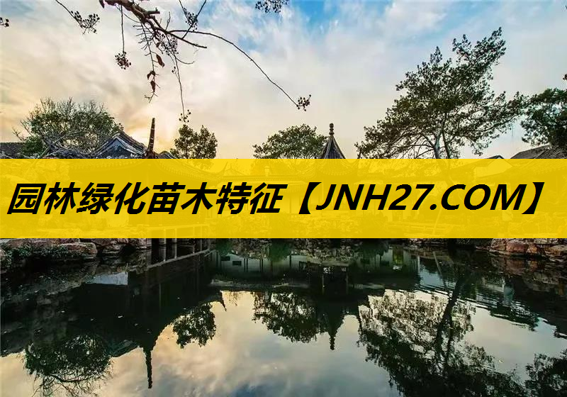 园林绿化苗木特征